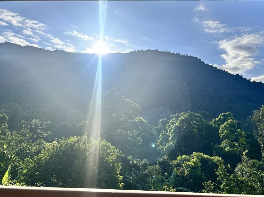 What My Father Gave Me Without Knowing.